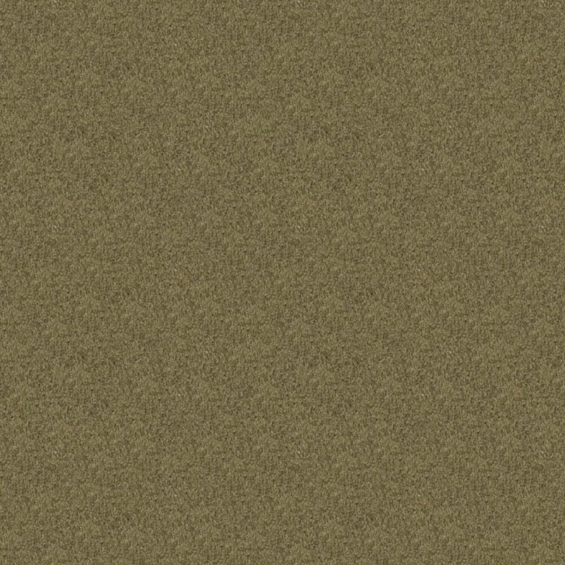 Oceanside carpet by Masland