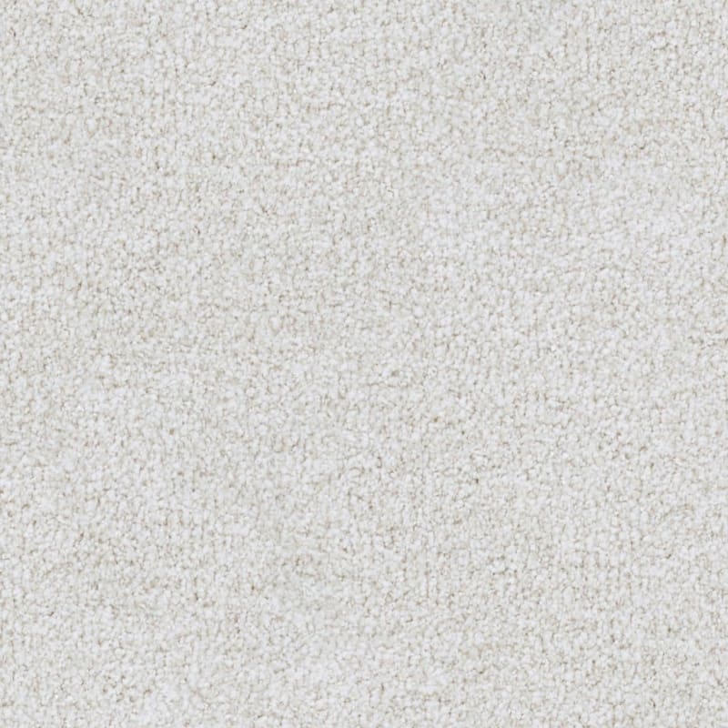 St. Augustine carpet by Masland