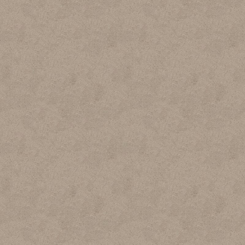 Embrace carpet by Masland