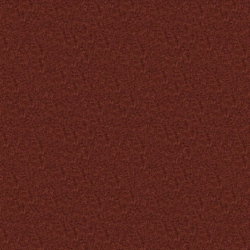 Embrace carpet by Masland