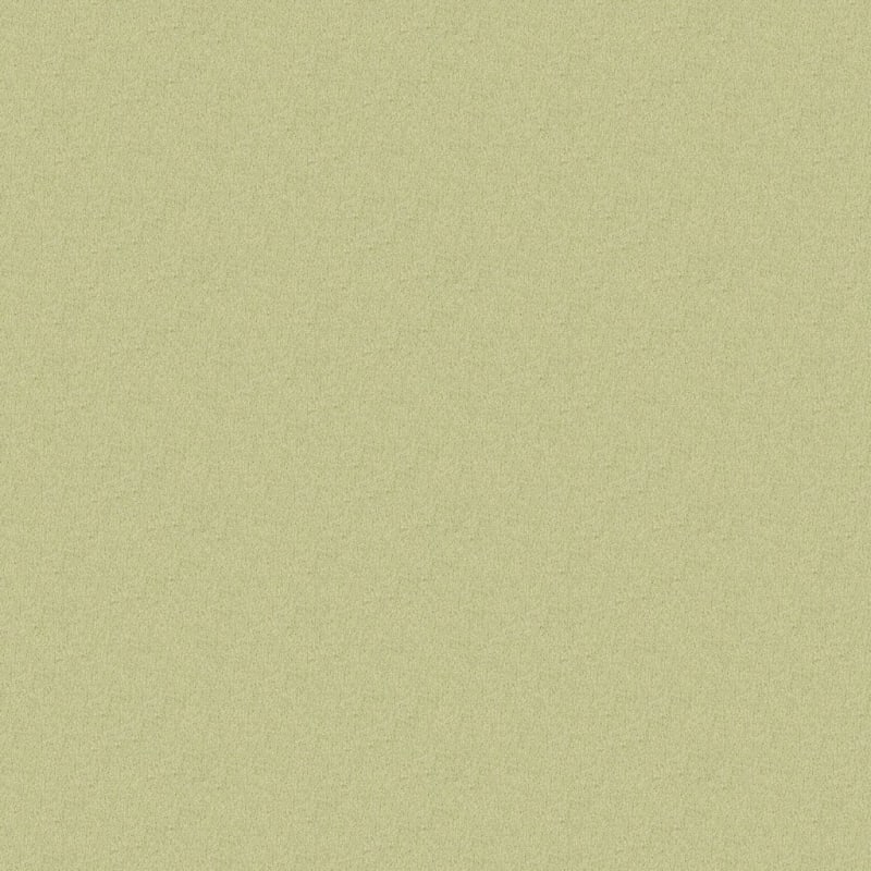Miami carpet by Masland