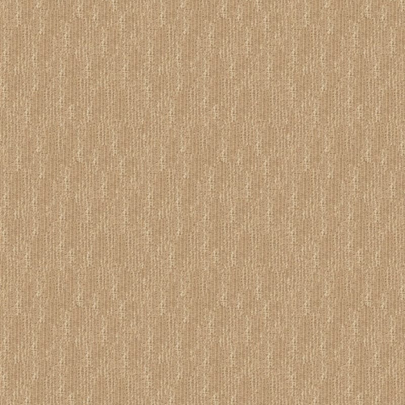 Belmond carpet by Masland