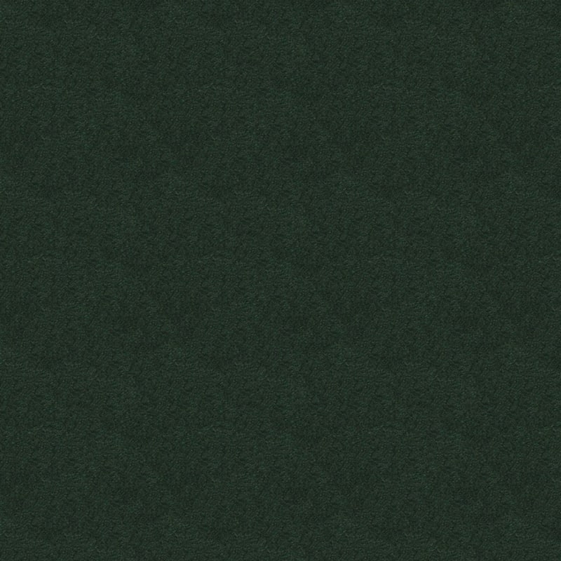 Silk Touch carpet by Masland