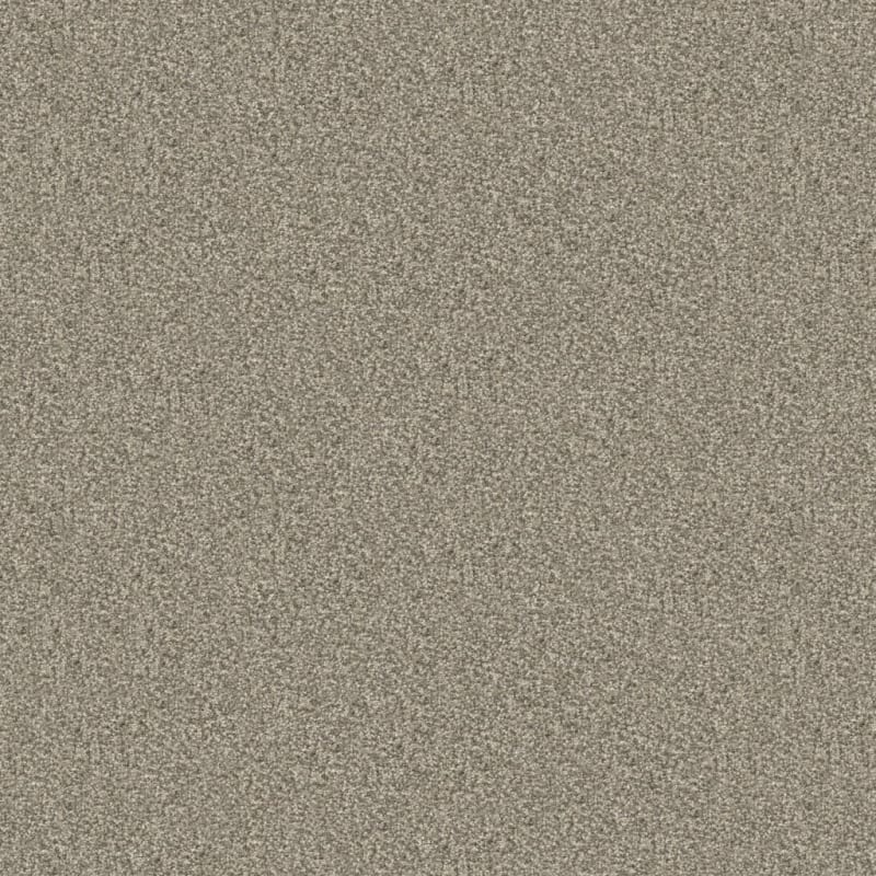 Tracker carpet by Masland