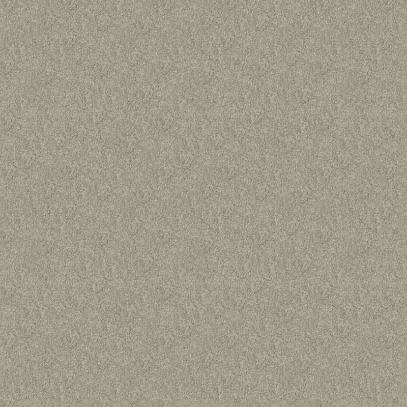 Oceanside carpet by Masland