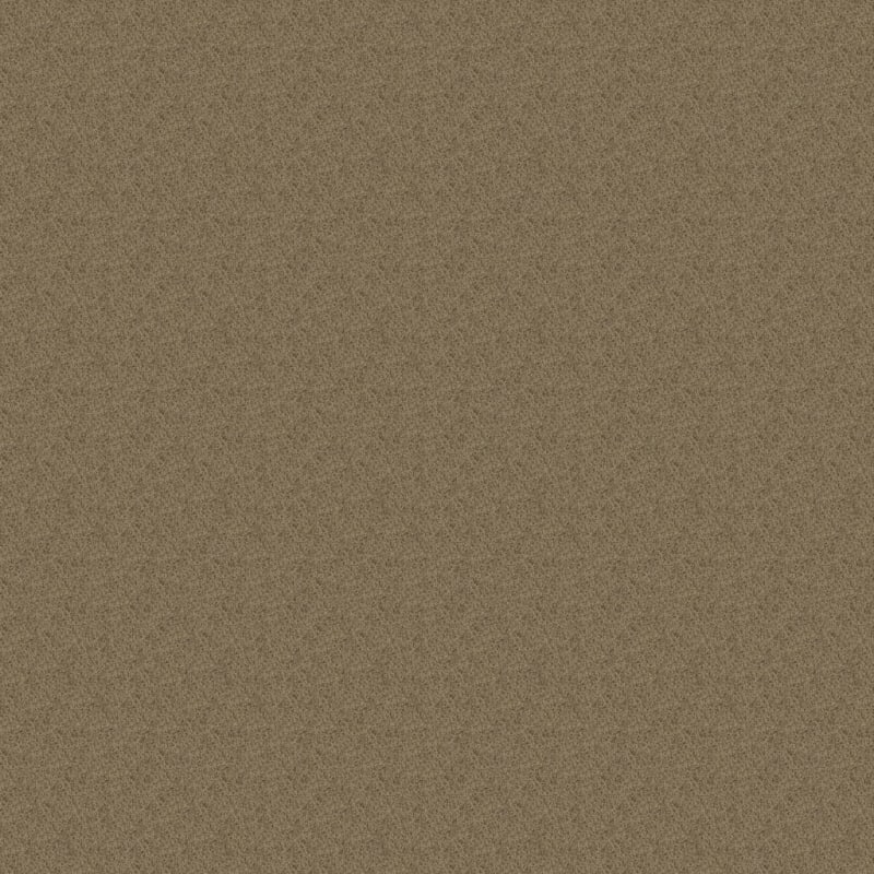 Miami carpet by Masland