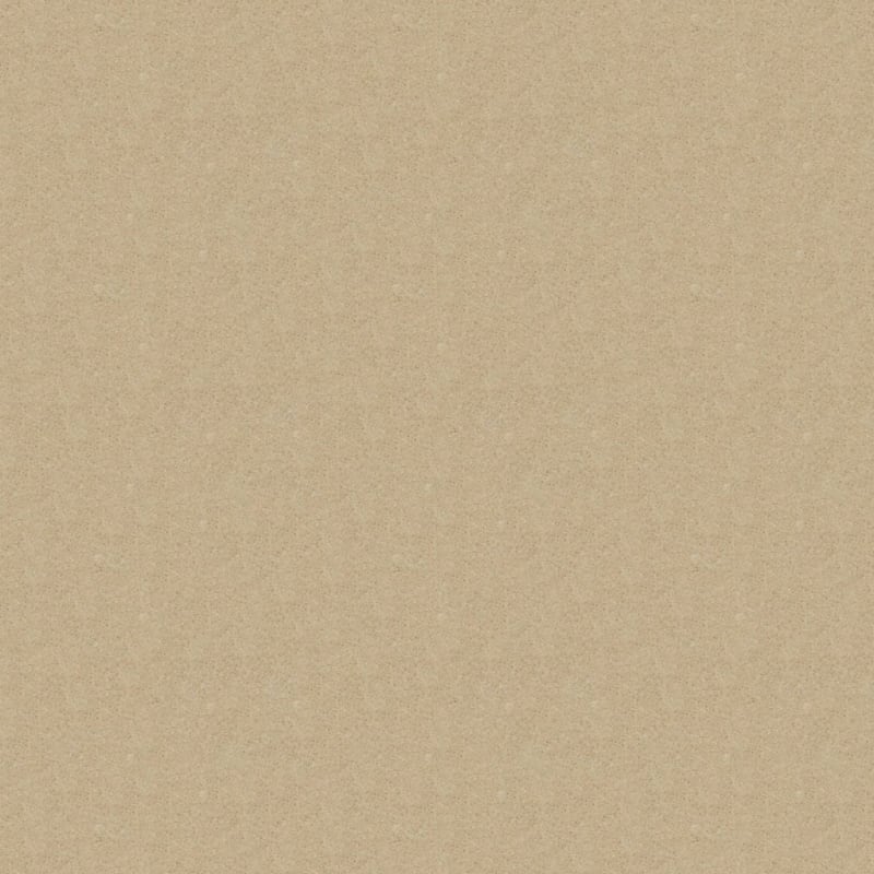 Embrace carpet by Masland