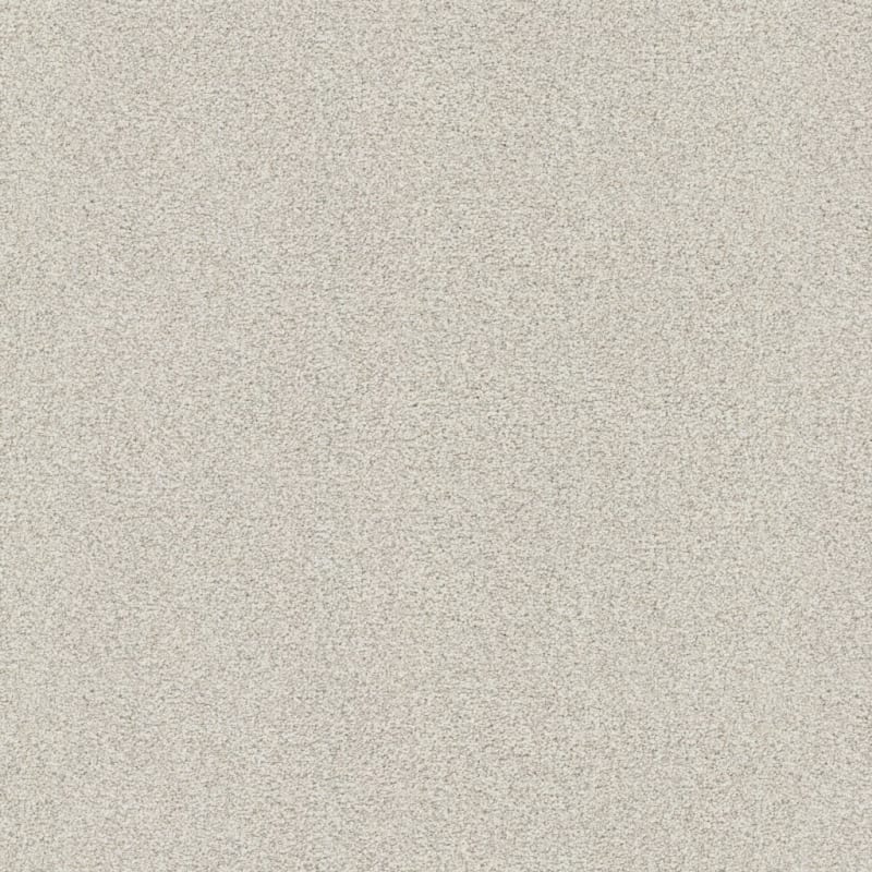 Tracker carpet by Masland