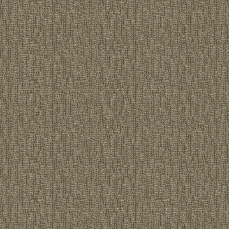 Alpha carpet by Masland