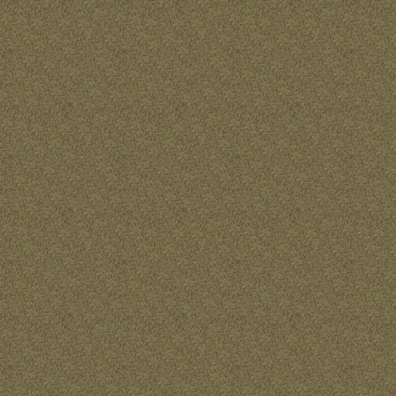 Miami carpet by Masland