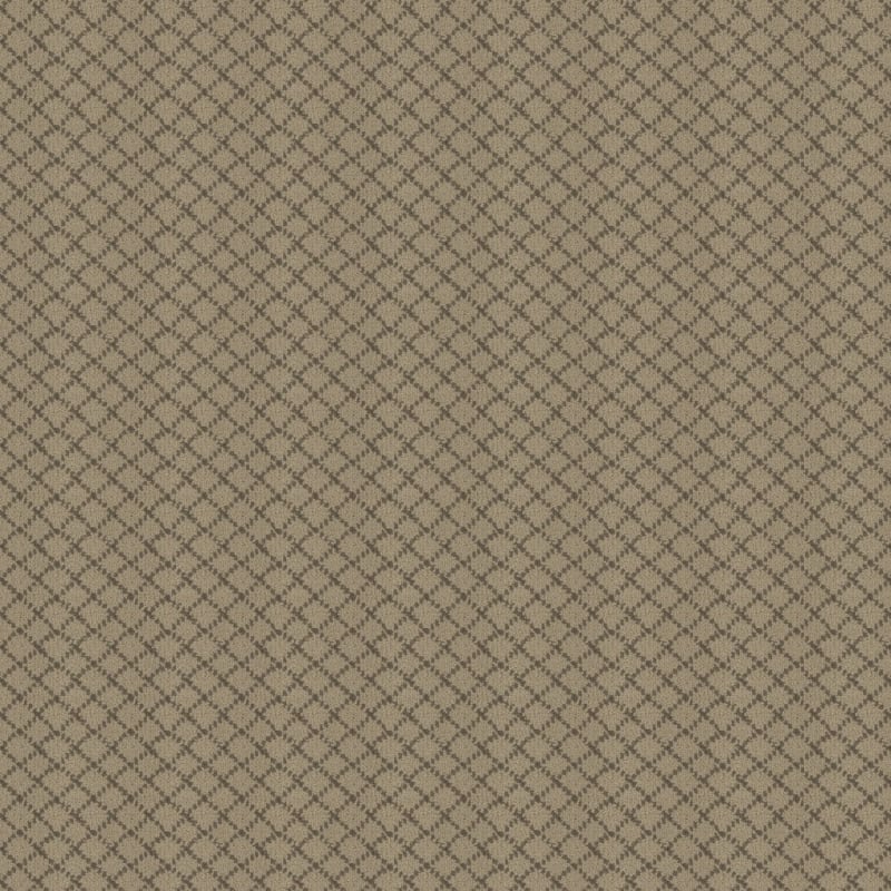 Charmant carpet by Masland