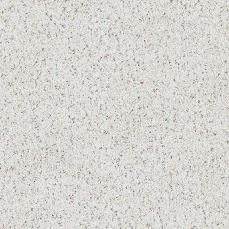 Boca Raton carpet by Masland