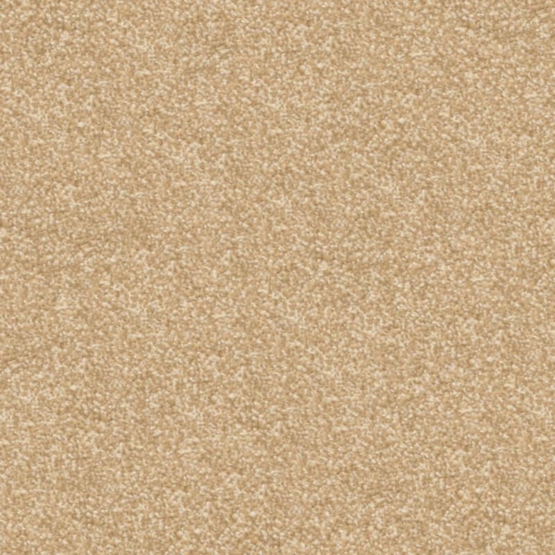 Beacon Hill carpet by Masland