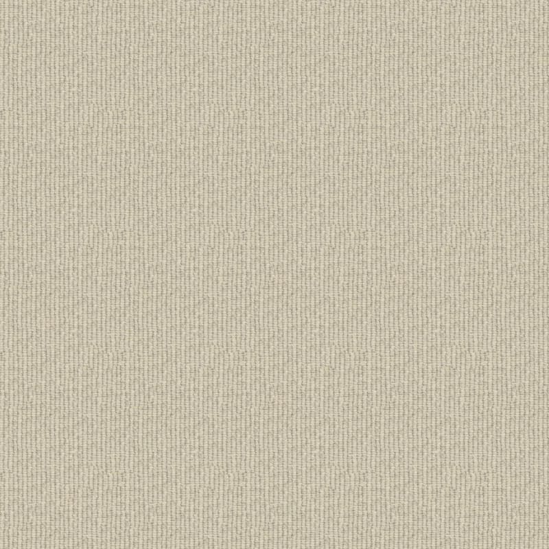 Beaucoup carpet by Masland