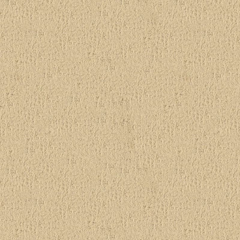 Santa Barbara carpet by Masland