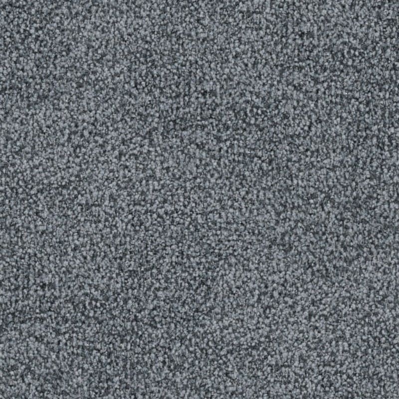 St. Augustine carpet by Masland