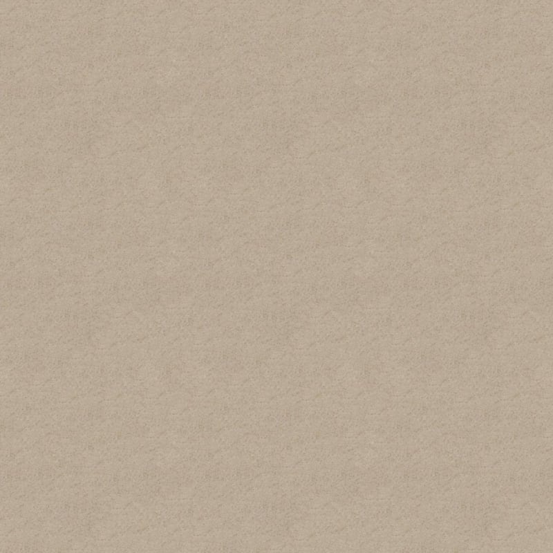 Embrace carpet by Masland
