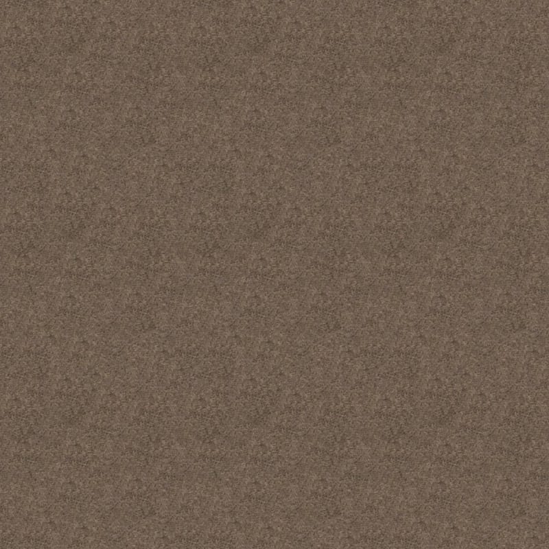 Embrace carpet by Masland