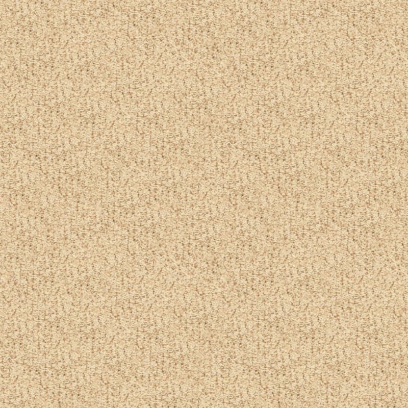 Sea Grass carpet by Masland