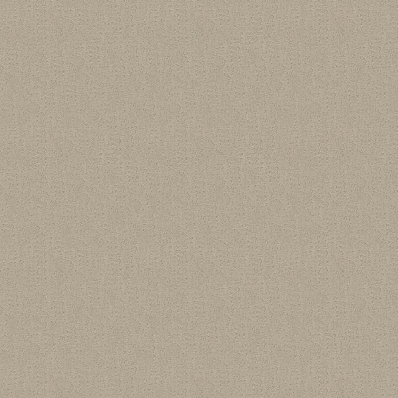 Nature'S Essence carpet by Masland