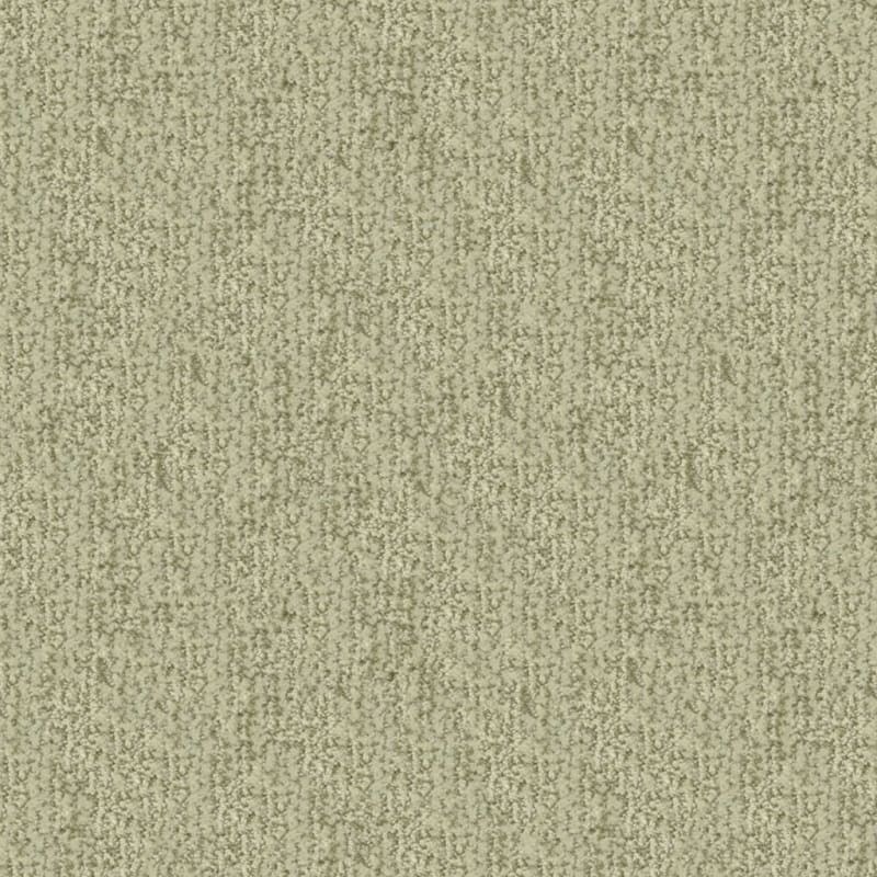 Mesa Verde carpet by Masland