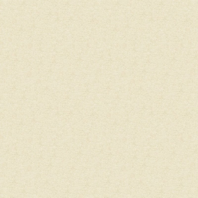 Vero Beach carpet by Masland