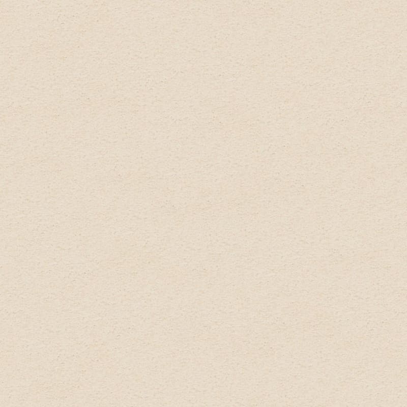 Knockout carpet by Masland
