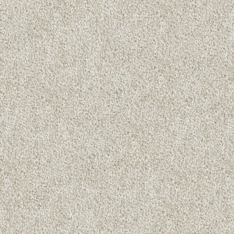 Buena Vida carpet by Masland
