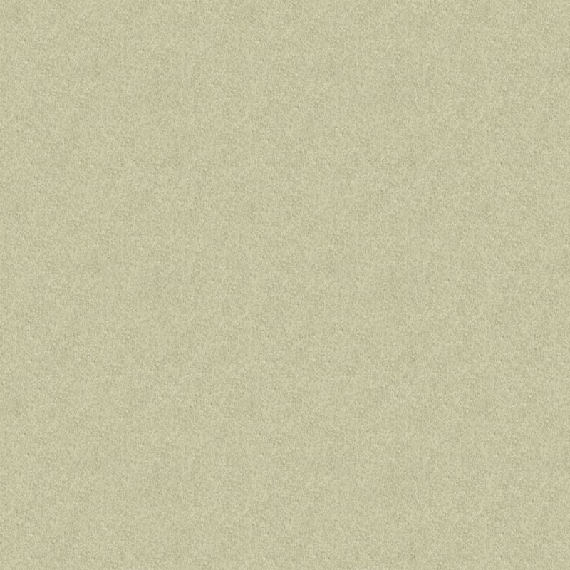 Oceanside carpet by Masland