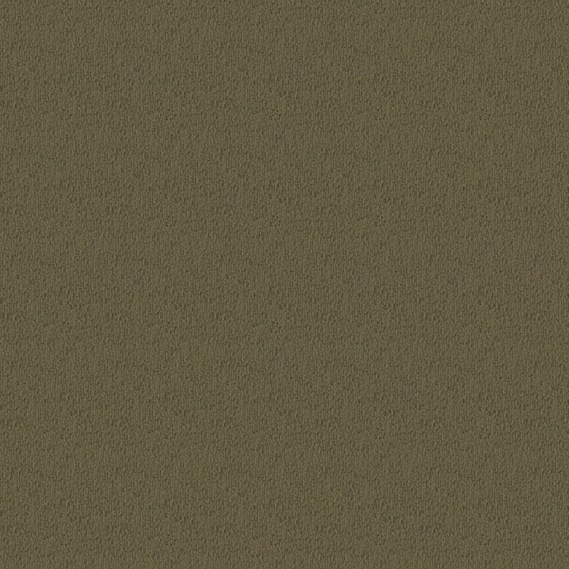 Novellino carpet by Masland