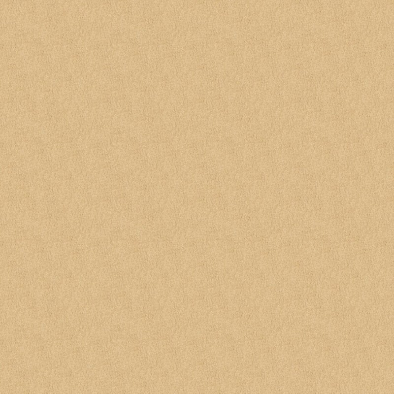 Key West carpet by Masland