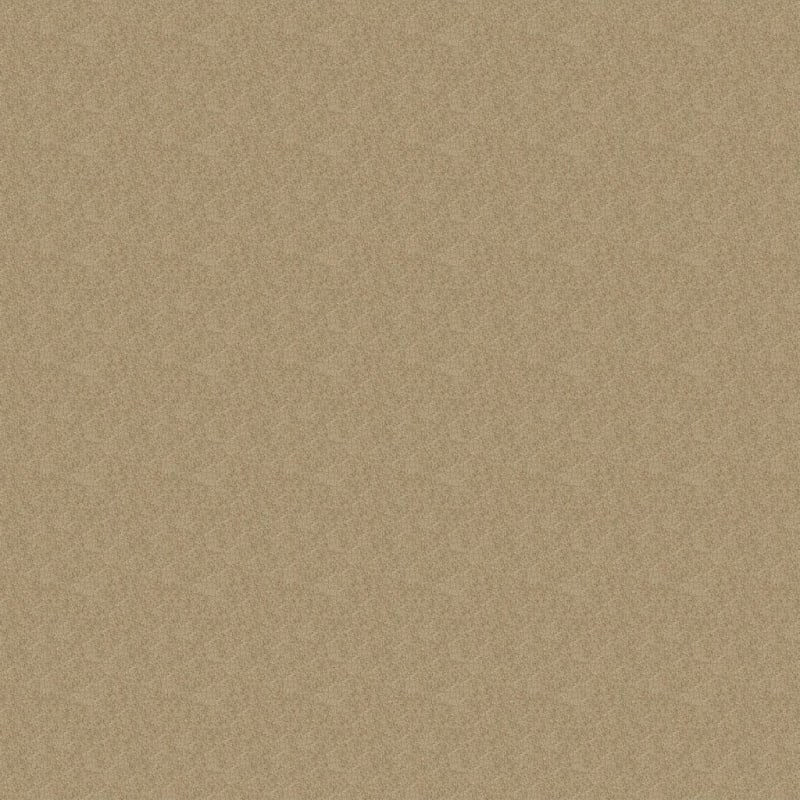 Miami carpet by Masland