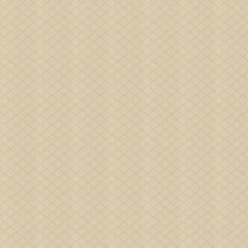 Charmant carpet by Masland