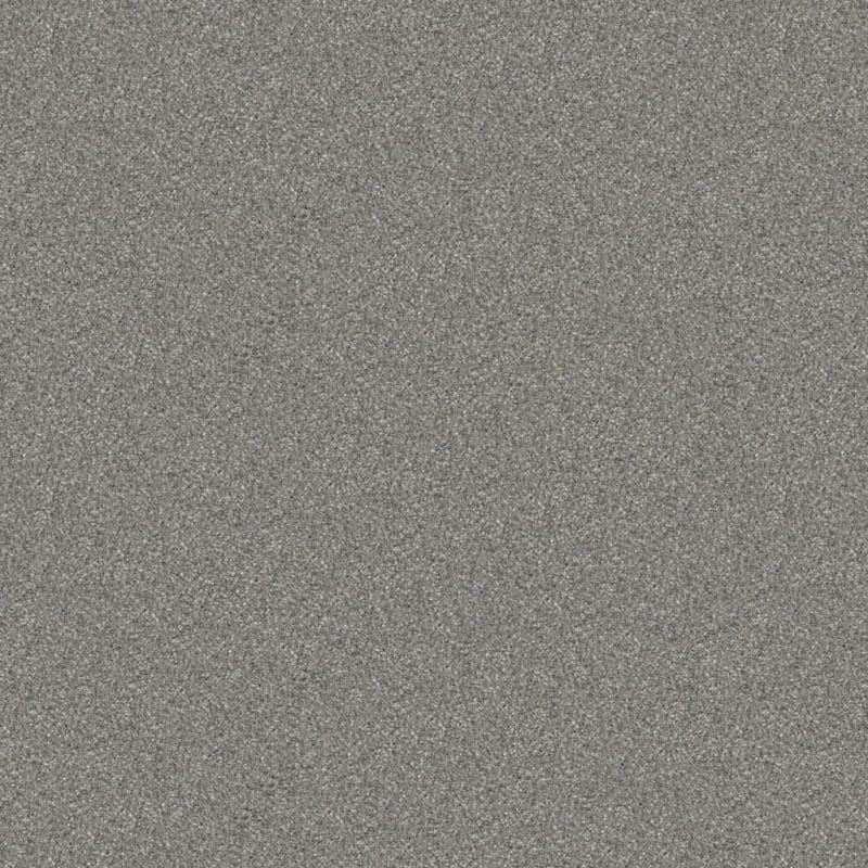 Tracker carpet by Masland