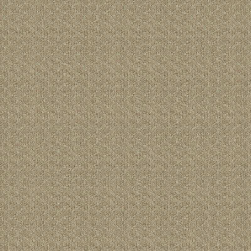 Fine Art carpet by Dixie Home