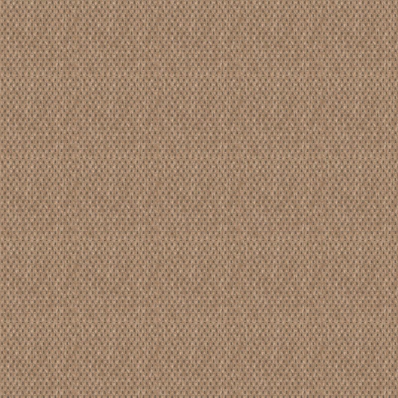 Trinidad carpet by Masland