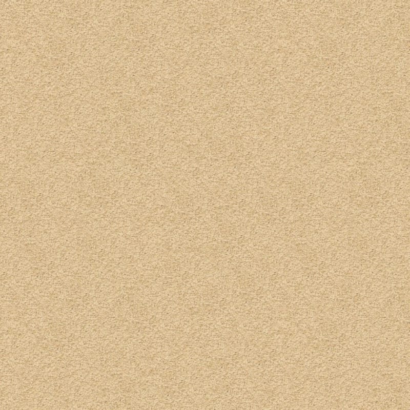 Knockout carpet by Masland