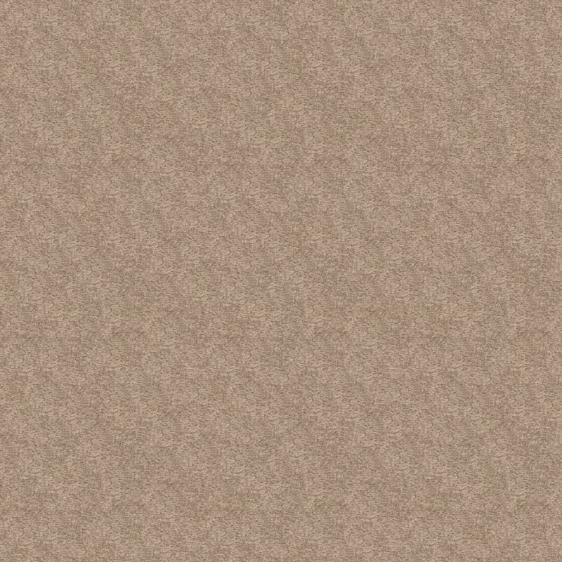 Knockout carpet by Masland