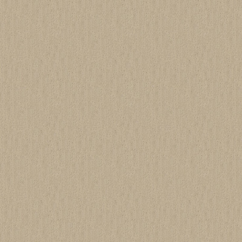 Nature'S Essence carpet by Masland