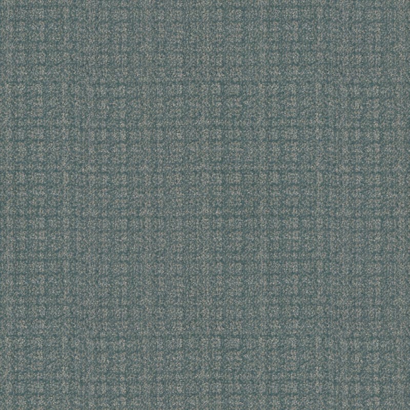 Purebred carpet by Masland
