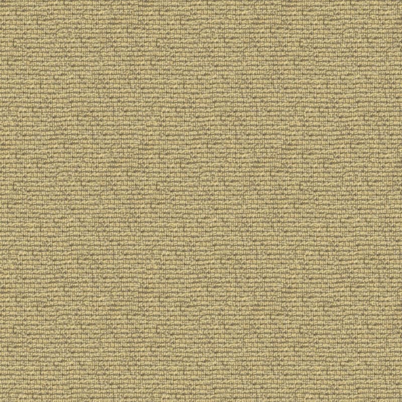 Helena carpet by Masland