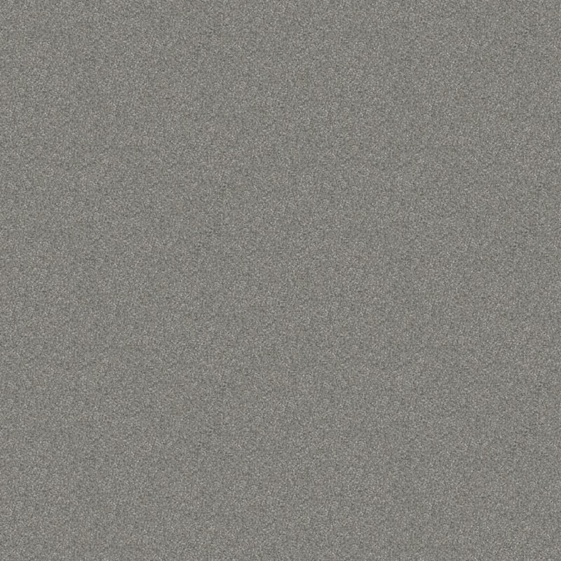 Hunter carpet by Masland
