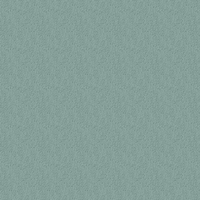 Novellino carpet by Masland