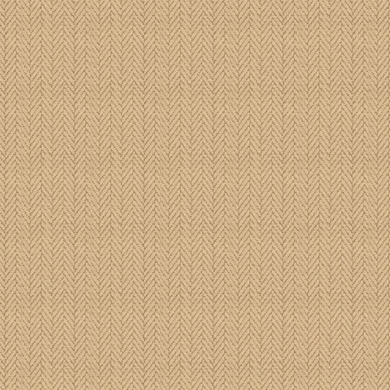 Distinguished carpet by Masland
