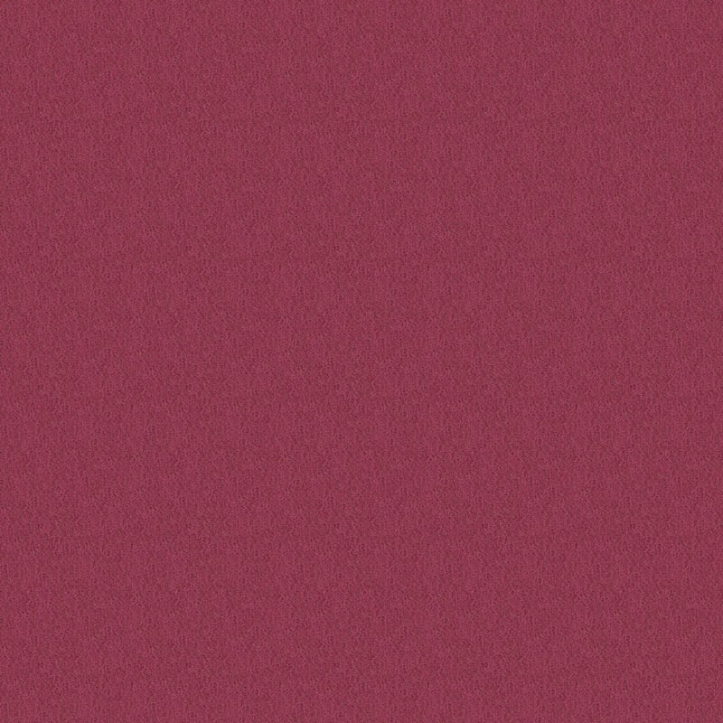 Panache carpet by Masland