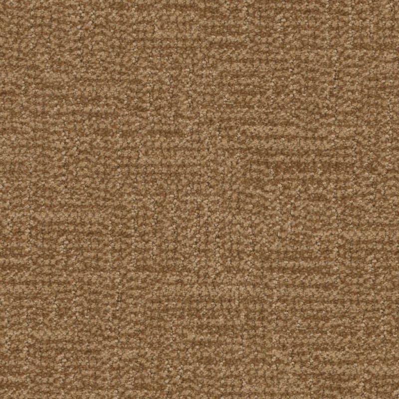 Prestigious carpet by Masland