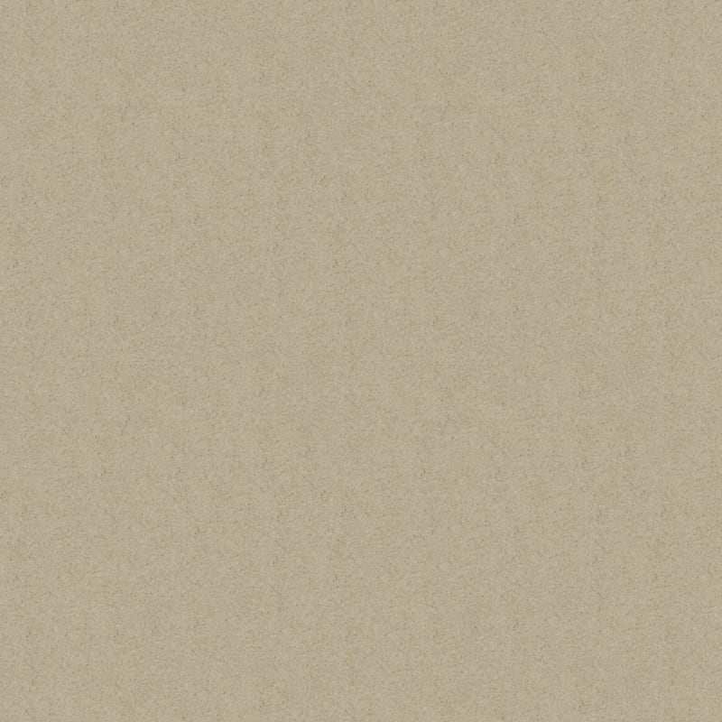 Embrace carpet by Masland