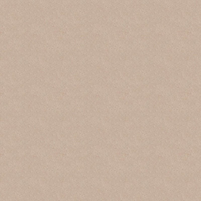 Embrace carpet by Masland