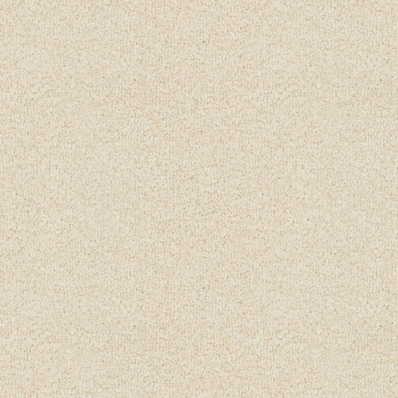 Santa Rosa carpet by Masland