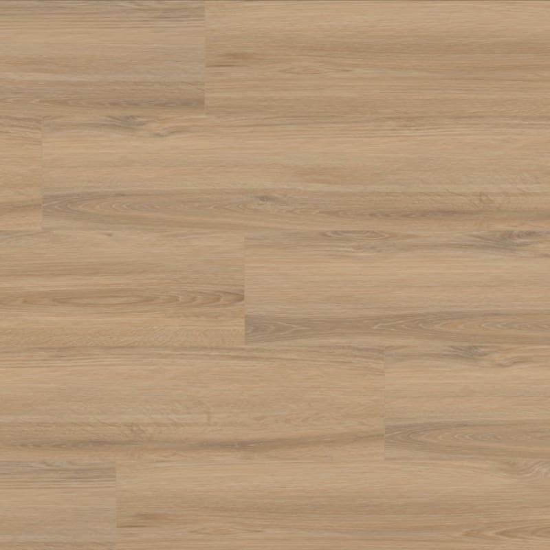 Prime XL 12 carpet by TRUCOR®